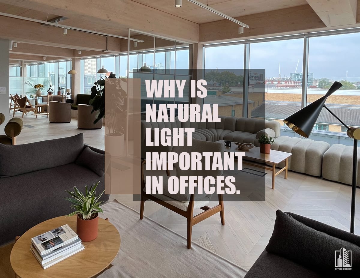 Why Is Natural Light Important in Offices