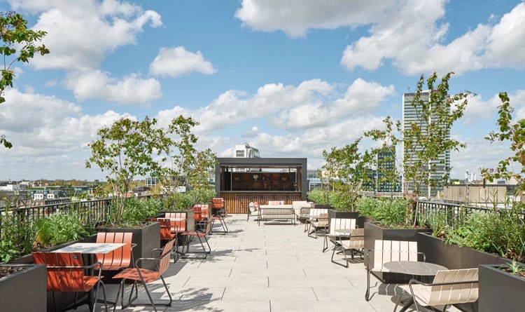 15 Fitzroy Street, London W1T 4DG - Roof Terrace
